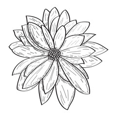 Isolated outline of a flower, Vector illustration