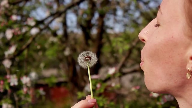 Happy beautiful woman blowing dandelion in the garden. Cute girl playing with blowball.