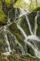 Malanphy Springs Lower Waterfall