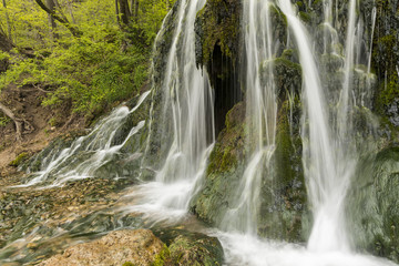 Malanphy Springs Lower Waterfall