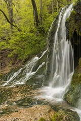 Malanphy Springs Lower Waterfall