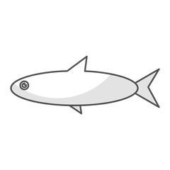 Fish sea animal vector illustration graphic design