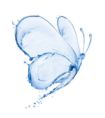 Naklejka premium Motyl robić pluśnięcia woda odizolowywająca na białym tle