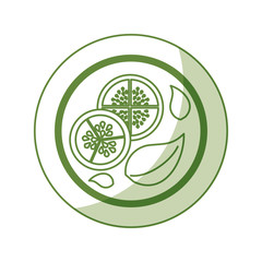 healthy vegetarian food vector illustration graphic design