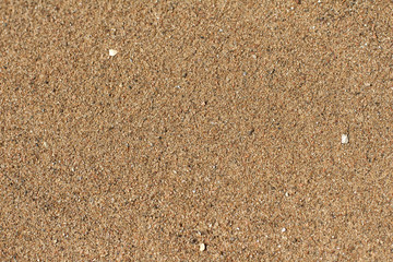 Texture background of wet river sand, on a bright sunny day.
