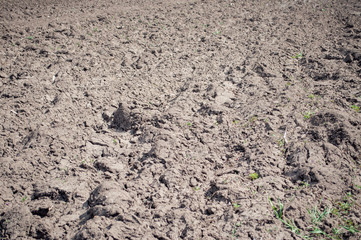 Plowed land on the field during agricultural work