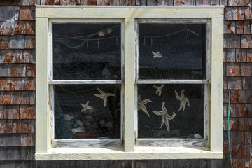 Window with starfish hanging, Peggy's Cove, Nova Scotia, Canada