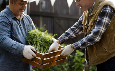 Gardener gives organic fresh agricultural product to customer