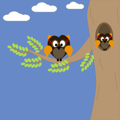 An Owl family on a branch of a tree