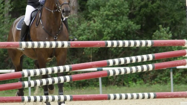 SLOW MOTION CLOSE UP: Detail of horse legs jumping bravely over vertical fence during the show jumping competition in outdoor riding arena. Mare with manners and style performing in stadium jumping
