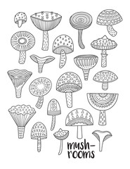 Mushrooms ink set. Coloring book page