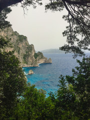 Looking Through The Forest To The Sea