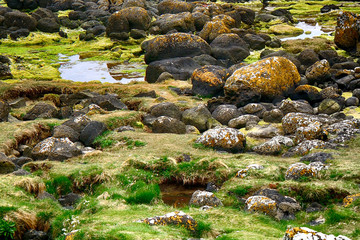 Giant's Causeway, Northern Ireland