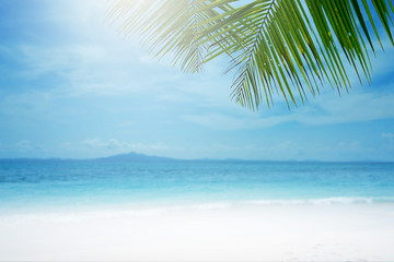 Fototapeta na wymiar Blurred beach background with palm tree.