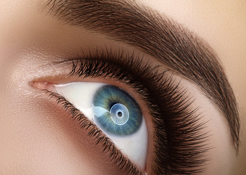 Close-up macro beautiful female eye with extreme long eyelashes. Lash design, natural health lashes. Clean vision