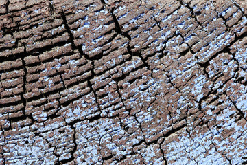 Cracked slice of a wooden bar with paint leftovers