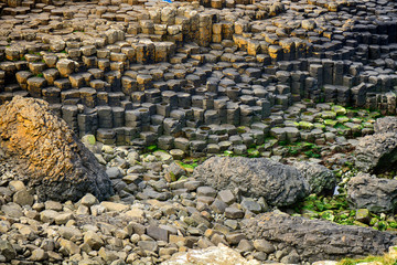 Giant's Causeway, Northern Ireland