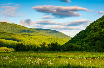 countryside landscape with field, forest and mountain ridge