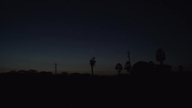 sunrise,  landscape,  palmtrees