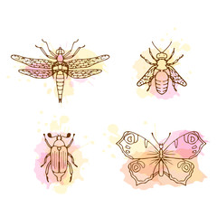 Obraz premium Insects line art set on white background