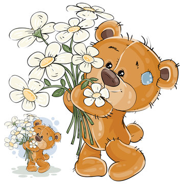 Vector illustration of a brown teddy bear holding a bouquet of flowers in his paws. Print, template, design element for greeting cards