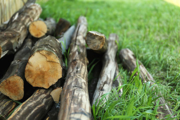 Pile of wood logs on grass