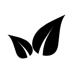 leaves icon over white background. vector illustration