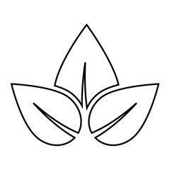 leaves icon over white background. vector illustration