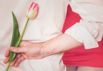 Man hiding flower behind his back and is going to give it to his beloved in spring day. Man's hand holding beautiful tulip.