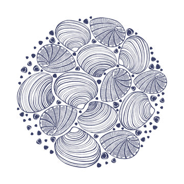 vector round hand drawn colored shell composition