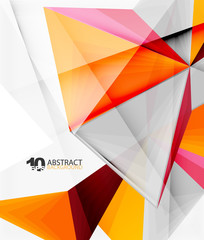 Fototapeta premium 3d triangle polygonal abstract vector