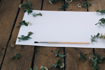 Blossoming spiraea on a white sheet of paper with a brush.