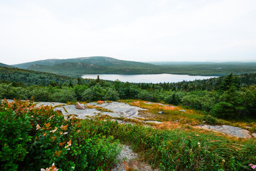 Fototapeta na wymiar View from a summit in the Acadia National Park Maine