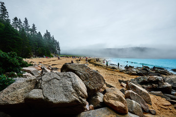 Acadia National Park Beach and coastline surrounded by woodland