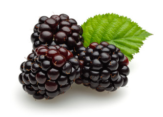 Blackberries