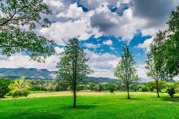 Landscape meadow mountains