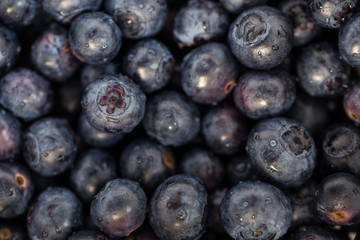Fresh, ripe blueberries