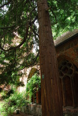 Kamien Pomorski - Katedra.