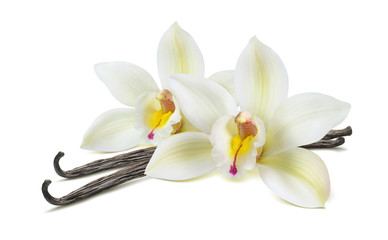 Naklejka na ściany i meble Double vanilla flower pods isolated on white