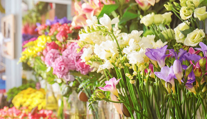 Colorful flowers in shop