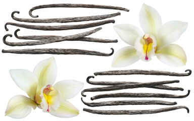 Vanilla flower stick element set isolated