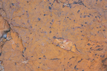 Obraz premium Cement floor in garden