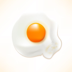Realistic fried egg. Vector illustration