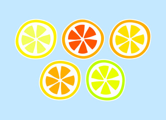 Citrus fruit lemon grapefuit orange slices, vector background