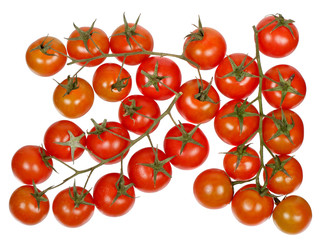 Branches of cherry tomatoes