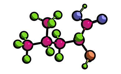 Molecular structure of D - leucine