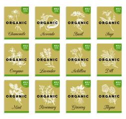 Herbs and spices cards set. Hand drawn medicinal, cosmetic plants collection. Engraving botanical illustrations tags. © vladayoung