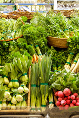 various of fresh green vegetables