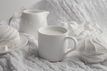 Obraz na płótnie Canvas Photo milk and sweets in a light key concept. still life in white. monochrome setting, high key