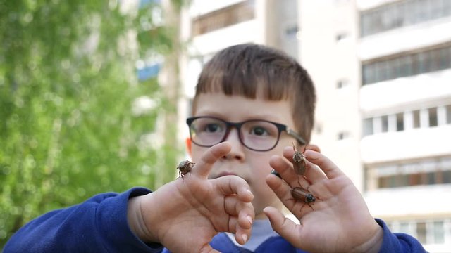 Children's Fun in the Spring